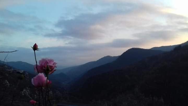 Il Girasole ...At Andorus' House Bed & Breakfast Erli Exterior photo